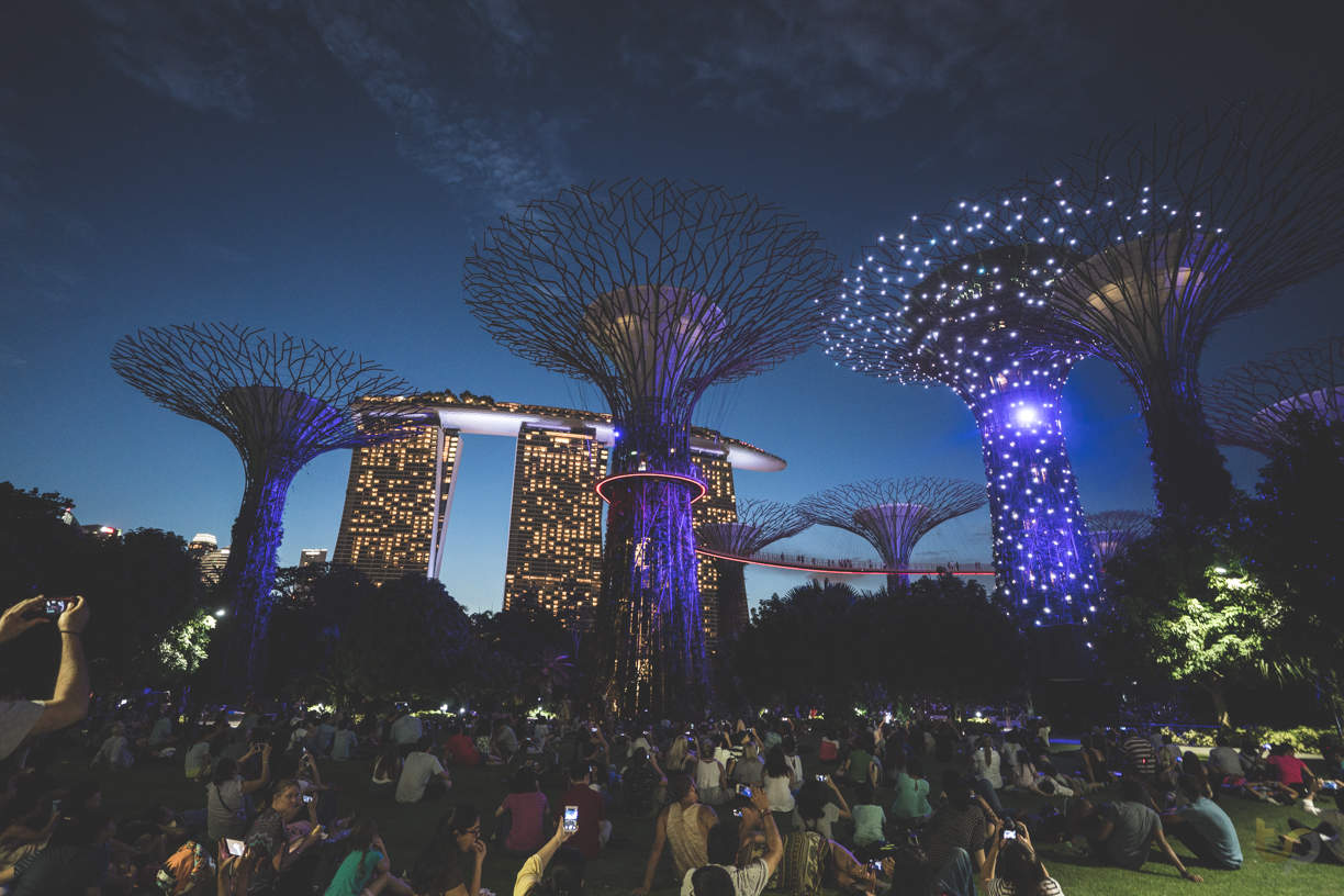 Instagram-worthy Photo Spots in Gardens by the Bay, Singapore